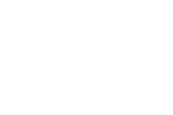 Dirt Devil
